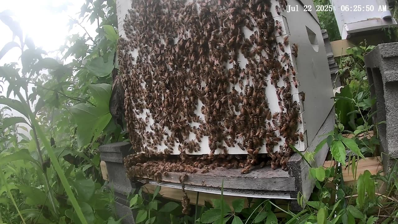 Tuesday Morning Sunrise