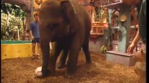 Zoboomafoo WETA September 14, 2001 400pm-429pm EDT