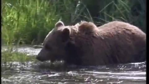 Zoboomafoo WETA September 16, 2001 1030am-1100am EDT