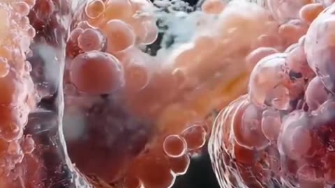 How can one small mutation lead to something as big as cancer