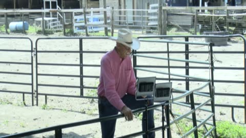 Skipper Calder & Cowboy-up Ministry bring horse training with a message at 11am.