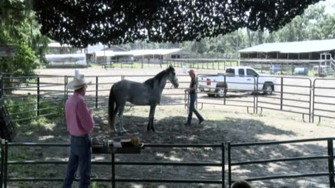 Skipper Calder & Cowboy-up Ministry bring horse training with a message at 11am.