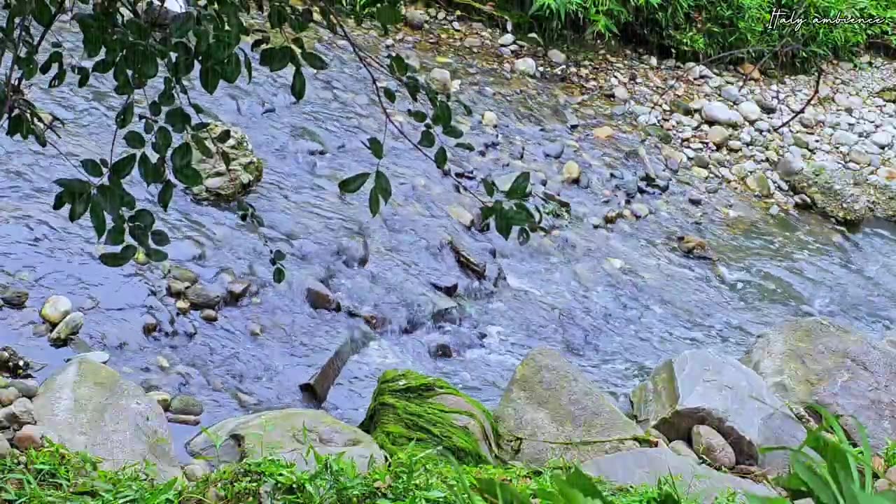 Healing Meditation with Flowing Water Stream and Relaxing music / Peaceful Ambience for Spa, Yoga