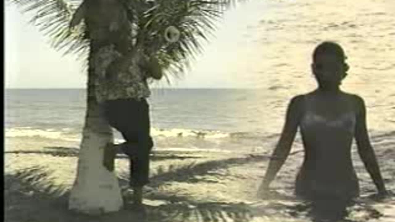 N.Pinedo-Te engañaron corazon