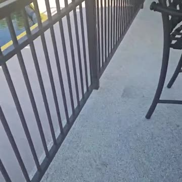 06/22/25 Beeta's Kitties VOD: "Beeta's kitties BKG is live!"