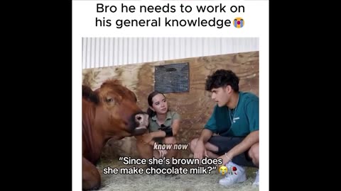 THESE PEOPLE VOTE - from WTF LIVE 129