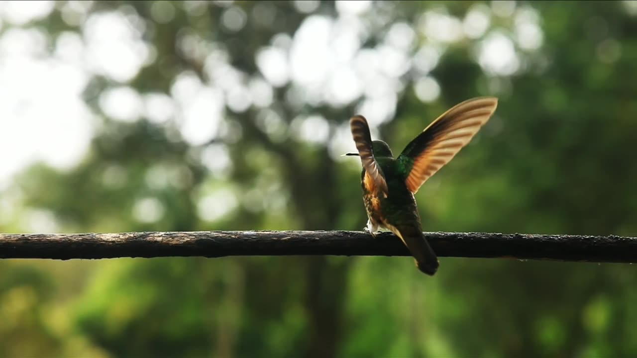 Nature