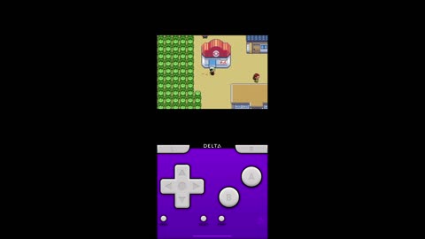 Pokémon Emerald Gameplay (8)