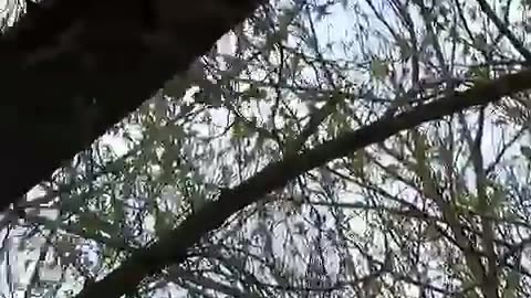 ✈️🔥 Ukraine Russia War | Russian Aircraft in Action on the Frontline | RCF