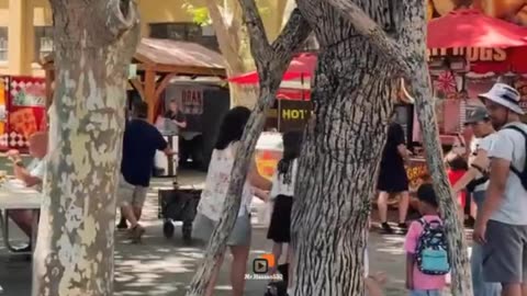 Human Tree