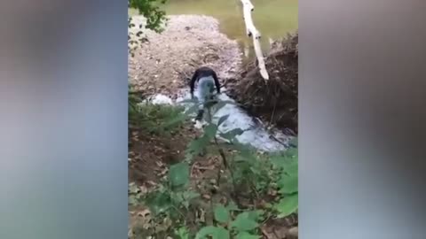 Laughing people