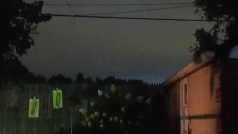 Several bats