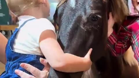 The Bond between a Child and a Horse