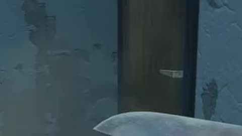 When You've Mastered DayZ
