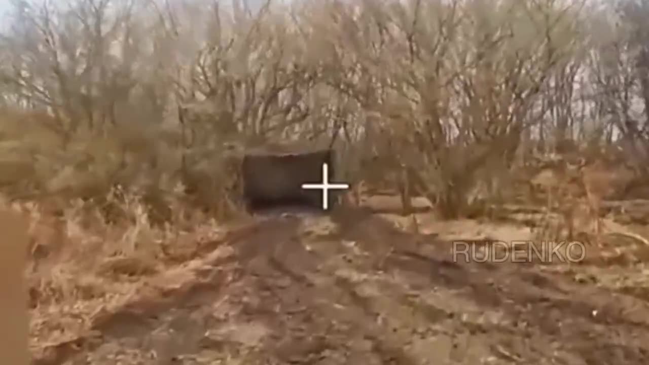 The dog almost ruined everything 😐