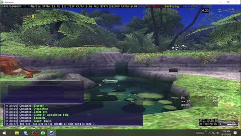 Playing Final Fantasy XI Online