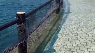 Walking in the Sea