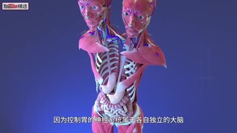 科普：一体双头的人，是怎么生存和生活的？