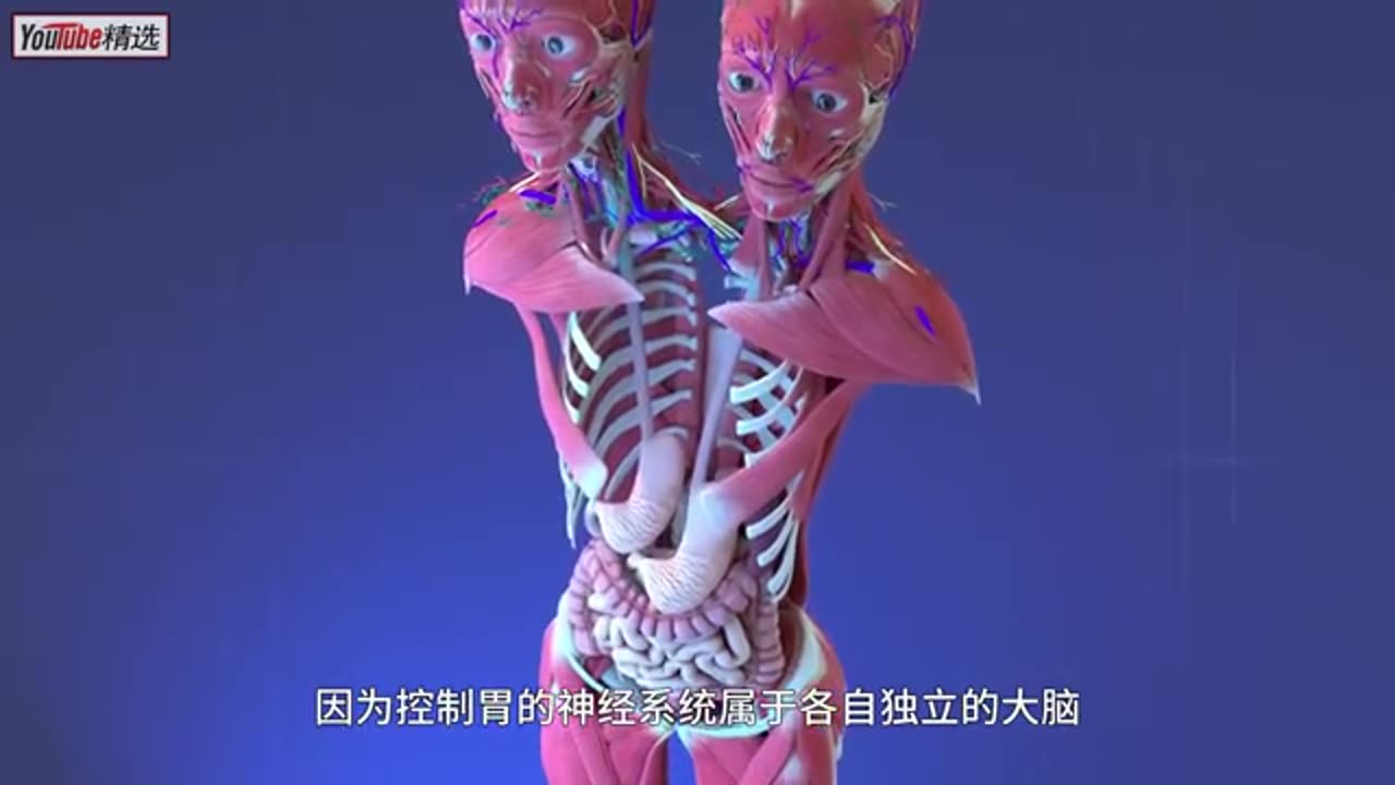 科普:一体双头的人,是怎么生存和生活的?