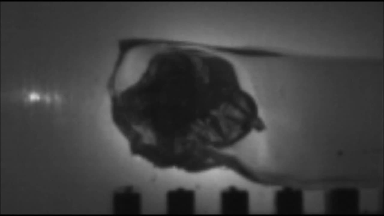 SLOW MOTION 22 K-Hornet Hornady 40gr V-Max impacting ballistic gelatin