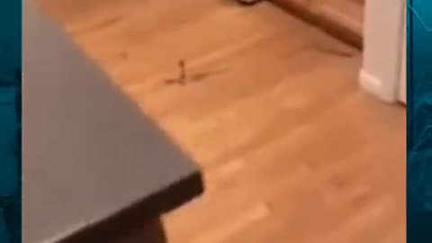 😱👻 OMG, You Won't Believe What Happened! Poltergeist | TheHauntingHour