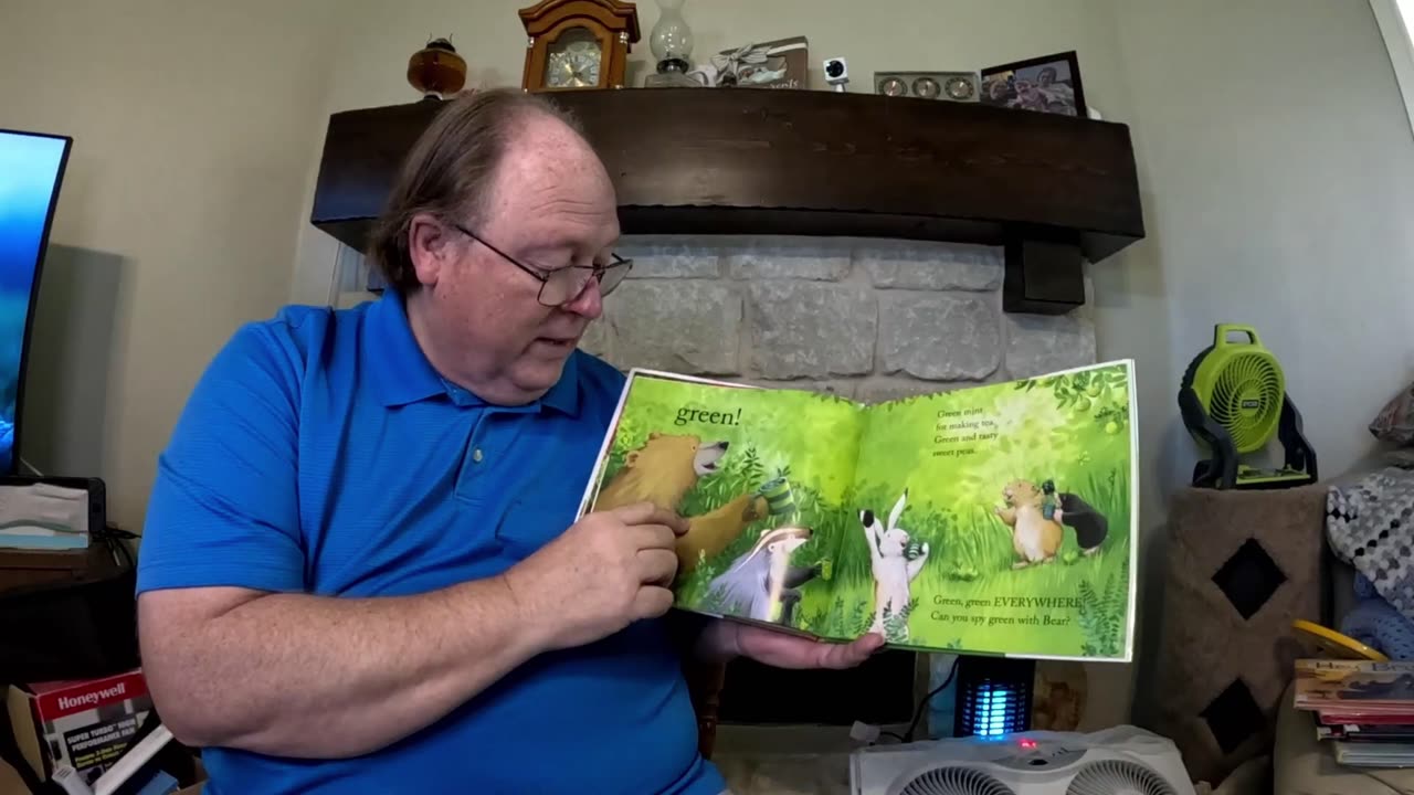 The Brown Bear Sees Colors