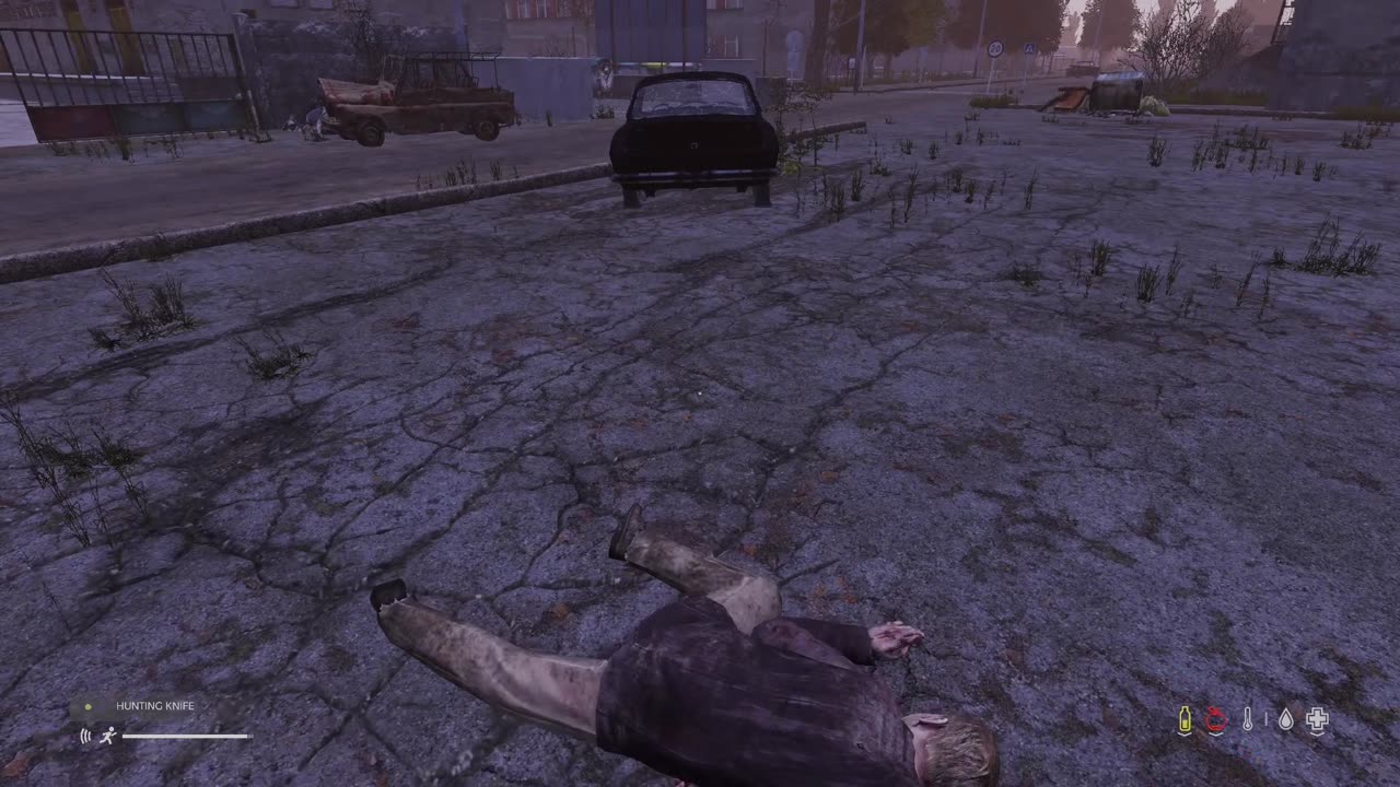 First time playing Day Z PS5