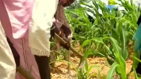 Africa is building a wall