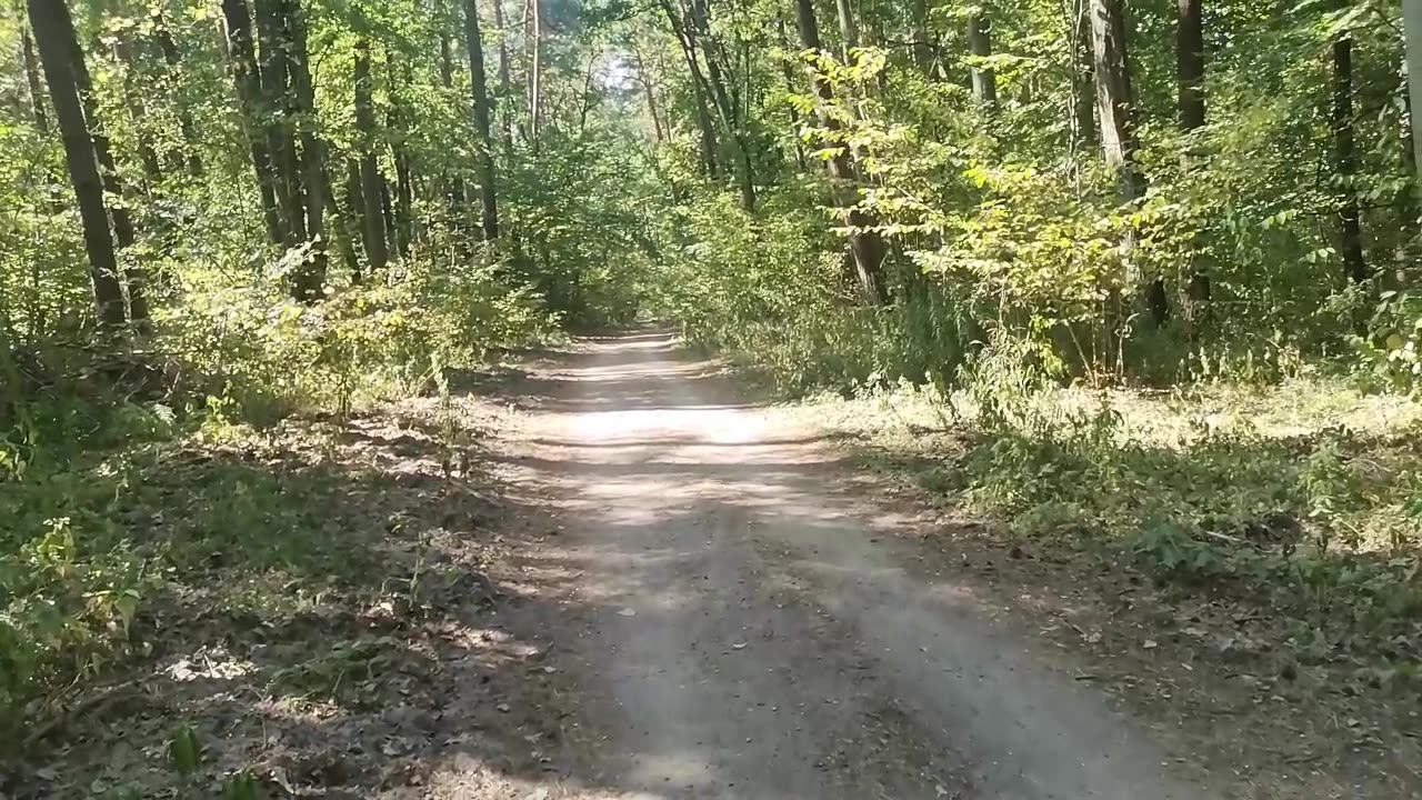 dzień zadawania pytań ...