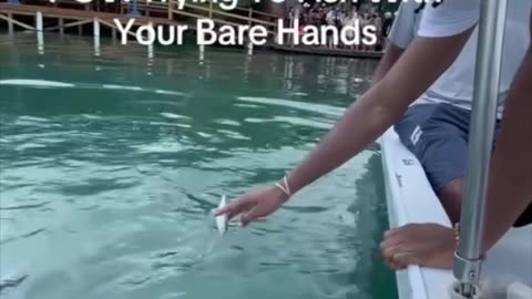 🐠 barstooloutdoors #FlowMe