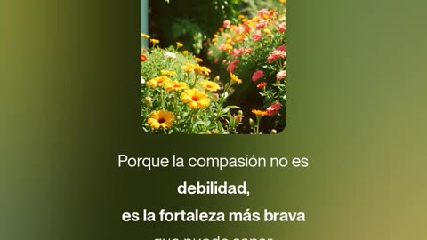 Soy Paz-Sunydowey