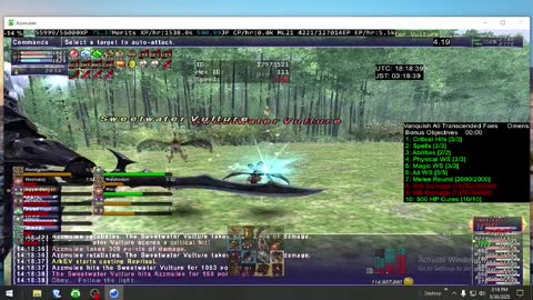 Playing Final Fantasy XI Online