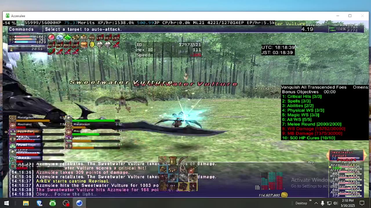 Playing Final Fantasy XI Online