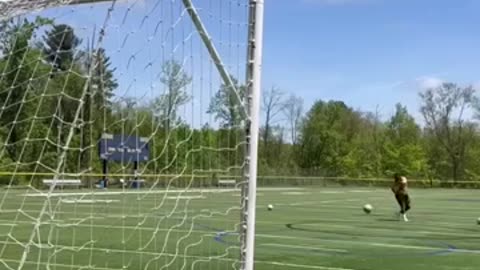 Viral: That was satisfying (via soccer.gh/IG) #shorts