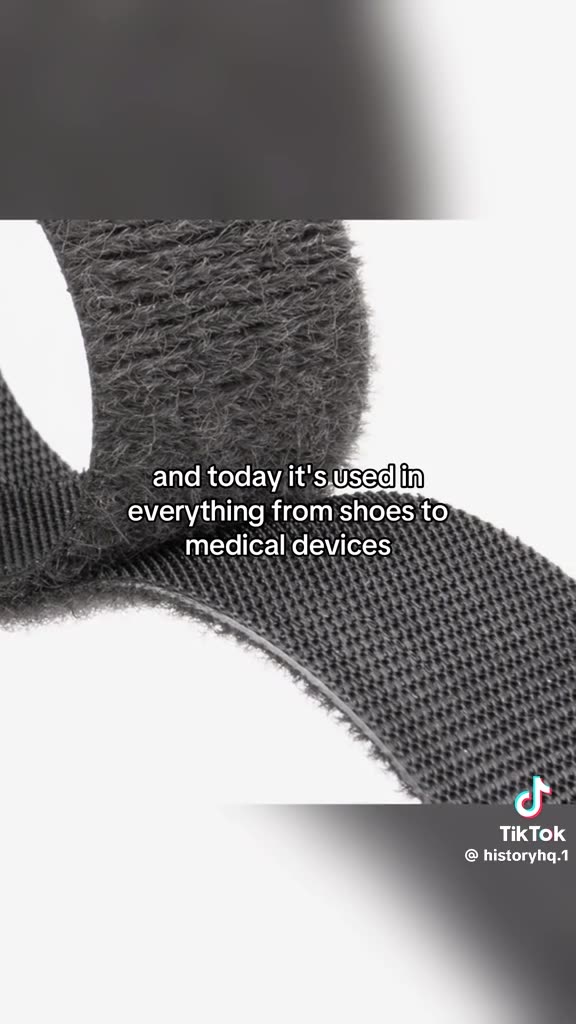 EVERYDAY OBJECTS THAT WERE STOLEN FROM NATURE