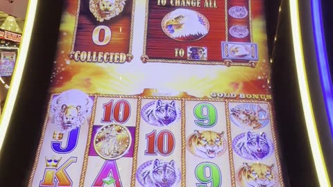 Buffalo Gold 🦌🎰🌵