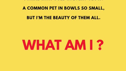 Riddles with Answers | Riddles for Kids | Riddles for Adults