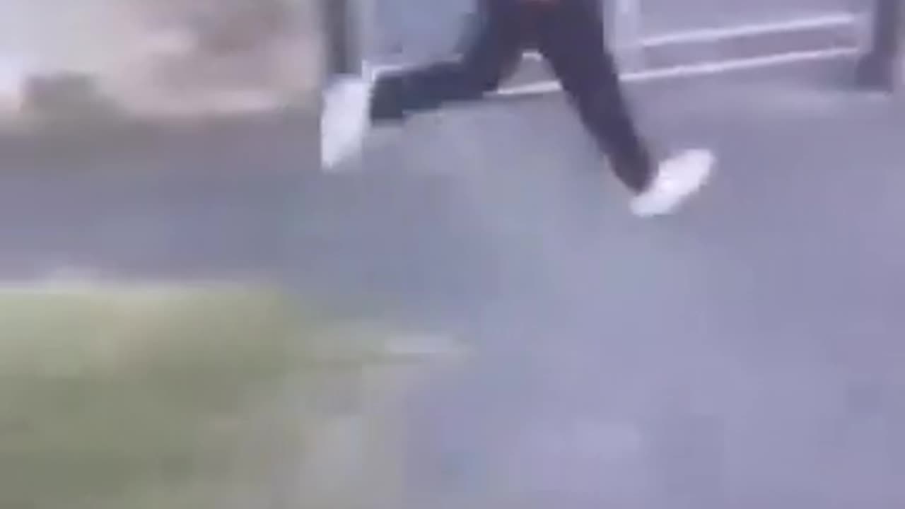 Coudenhove Kalergi importee phone snatcher, ignoring warnings to drop phone gets KO.😁