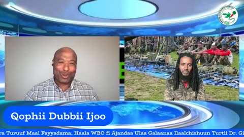 Qophii Dubbii Ijoo ONM-ABO Sadaasa 4-2025 itti dhiyaadhaa!