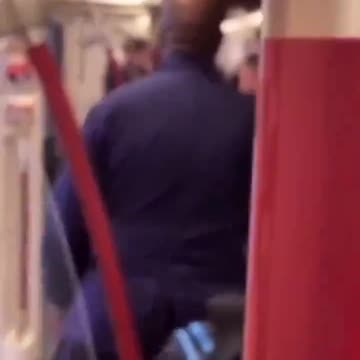 🚨🇨🇦 An African migrant who harassed a woman and tried to steal her phone in