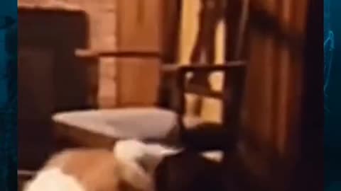 😨👻 You Won't Believe What They Caught on Camera! Mystery Horror | TheHauntingHour