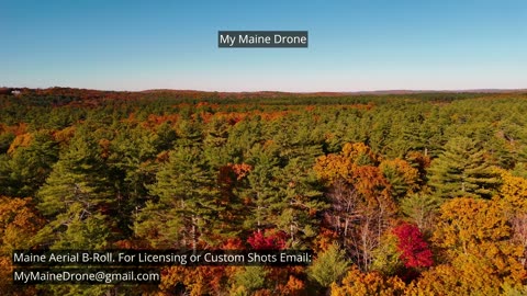 Maine B-Roll (No Sound): Fall Foliage at Lily Pond in New Gloucester, Maine Video 28