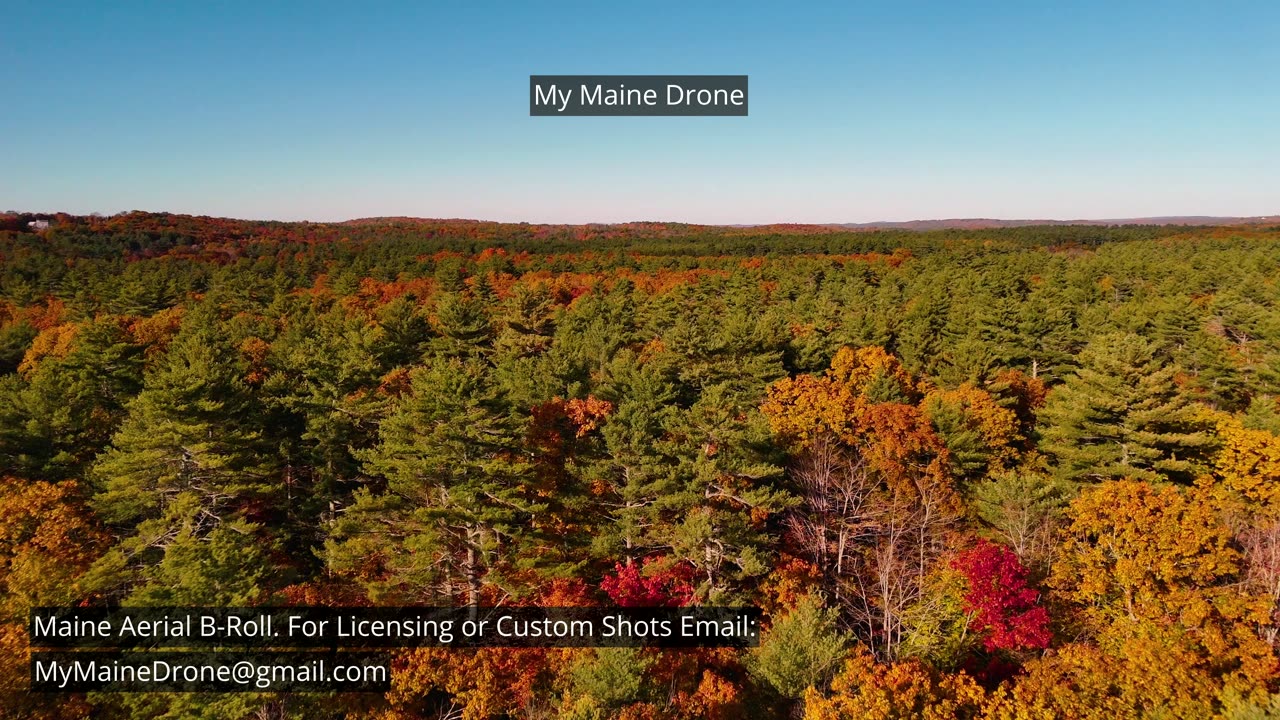 Maine B-Roll (No Sound): Fall Foliage at Lily Pond in New Gloucester, Maine Video 28