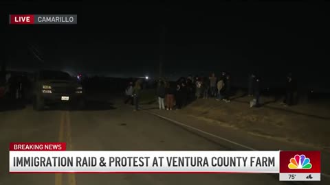 Federal agents met by protesters during immigration raid at Ventura County farm