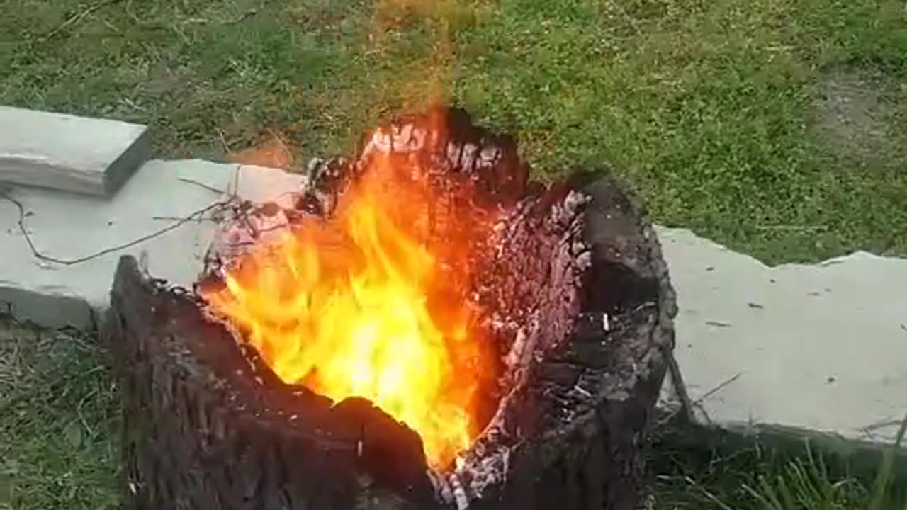 Tim Rifat TikTok Videos