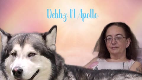 My Husky, My Best Friend - Thanksgiving 2025