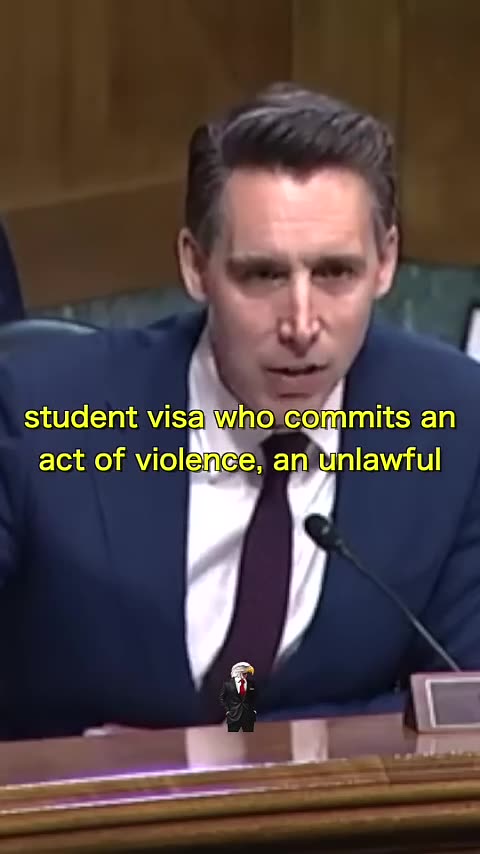 Sen. Hawley Is Shocked When This Advocate Tells Him We Shouldn't Deport Students Who Assault Others