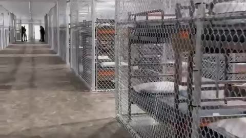 Aligator Alcatraz illegals will have it so rough.