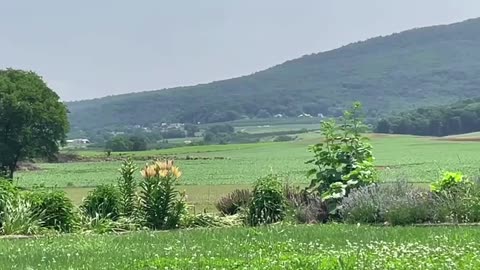 Angel Valley - Peaceful Quantum Healing