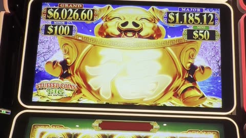 Stuffed Coins Pig Bonus 🐷🎰🎊